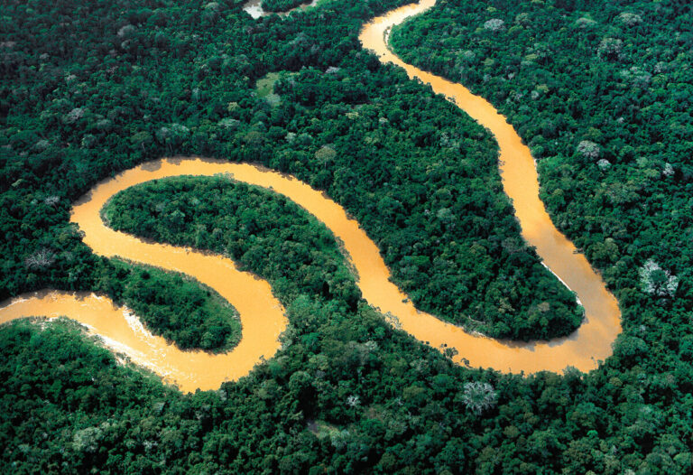 Amazônia 29