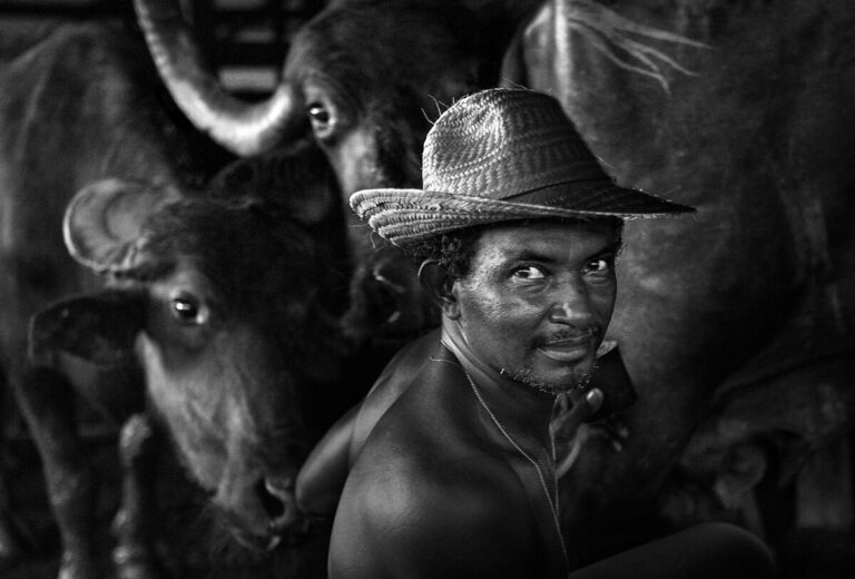 Preto e Branco 04