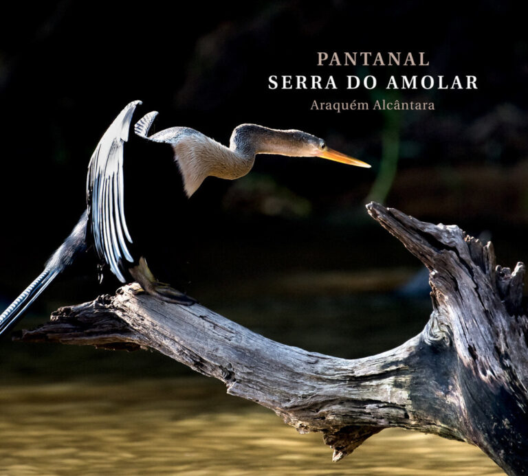 Pantanal Serra do Amolar